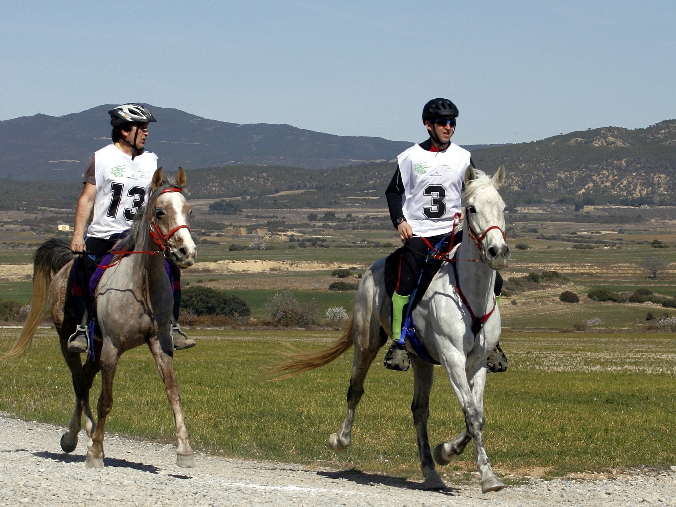 El Jinete Navarro Paco Ayestaran Ganó El XXVI Raid Internacional CEI* Celebrado En Figarol